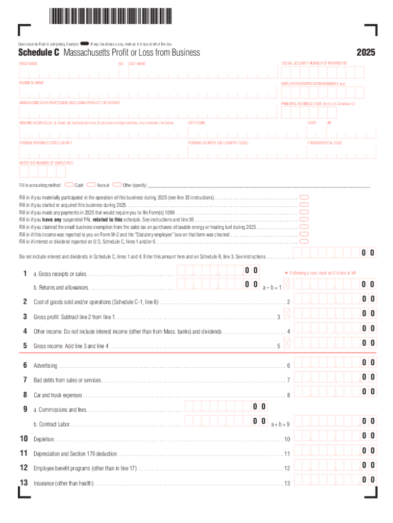 Massachusetts Schedule C 2025 Preview on Page 1