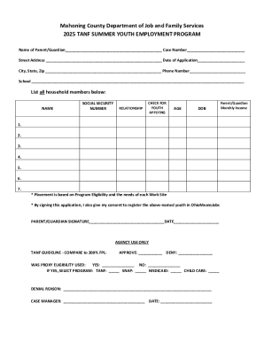 TANF Summer Youth Employment Program Application