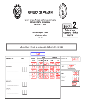 Paraguay Household Income and Expenditure Survey Form