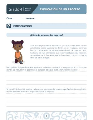 Grade 4 Language Process Explanation Worksheet