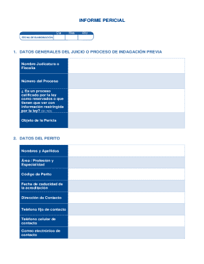 Ecuador Perito Judicial Report Form