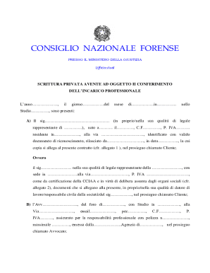 Italian Legal Professional Services Agreement