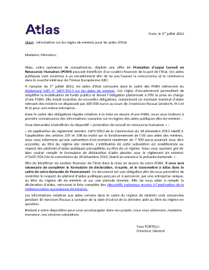 EU Minimis Aid Declaration Form