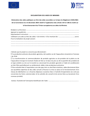 EU Minimis Aid Declaration Form