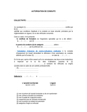 French Driving Authorization Form