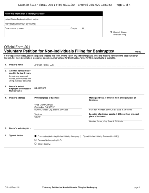 US Bankruptcy Voluntary Petition Form 201
