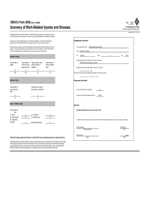 OSHA Form 300A Summary of Work-Related Injuries and Illnesses