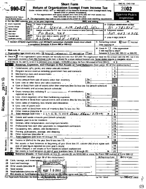 Form 990-EZ 2002