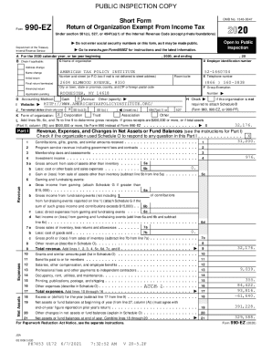 Form 990-EZ 2020