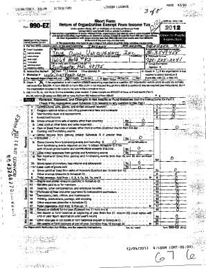 Form 990-EZ Tax Return