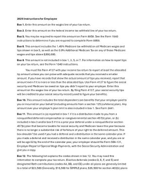 2025 W-2 Tax Form Instructions