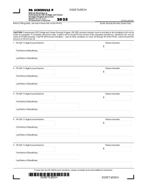 PA-40 Schedule P 2025