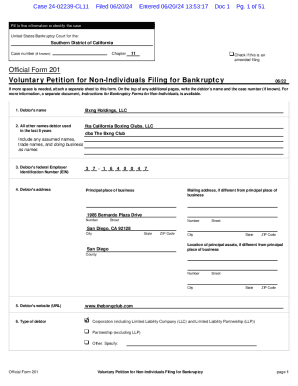 Official Form 201 Voluntary Petition for Non-Individuals Filing for Bankruptcy