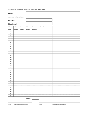 Daily Work Time Documentation Template