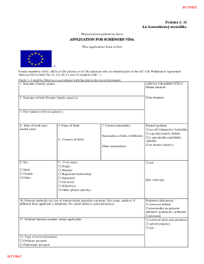 Schengen Visa Application Form