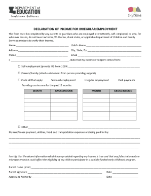 Declaration of Income for Irregular Employment