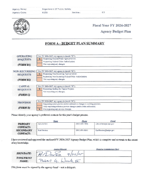 South Carolina Budget Plan Form