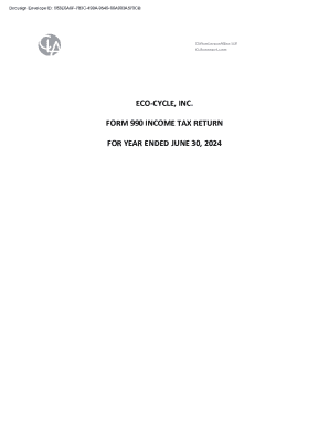 Form 990 Income Tax Return