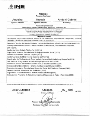 INE Resume Curriculum Template