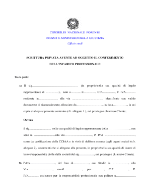 Italian Legal Professional Services Agreement