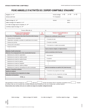 French Accounting Trainee Activity Form