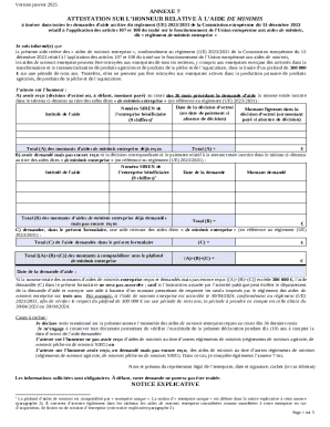 EU Minimis Aid Attestation Form