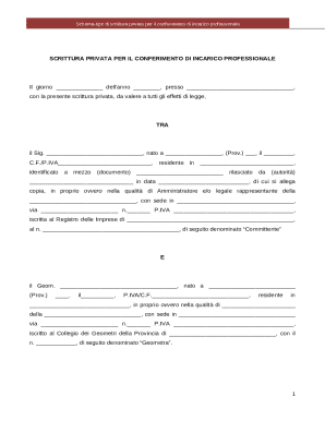 Professional Service Agreement Template