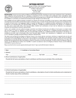 Tennessee Campaign Finance Interim Report