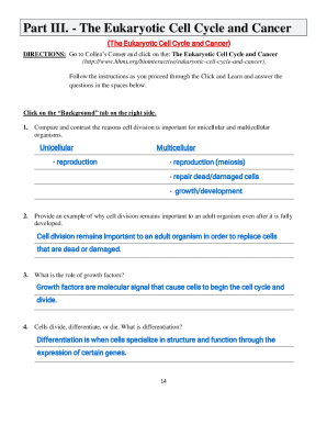 Eukaryotic Cell Cycle and Cancer Worksheet