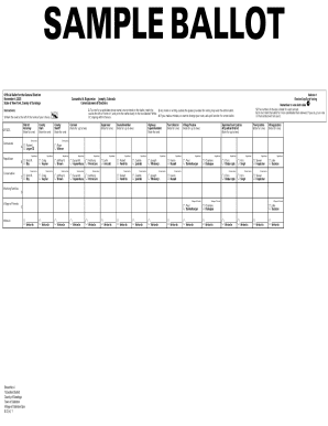 New York Sample Ballot