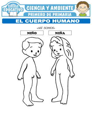 Circolo Educativo Body Parts Worksheet