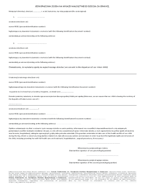 Minor Child Travel Consent Form