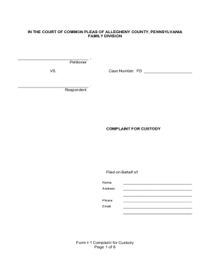 Complaint for Custody Form I-1
