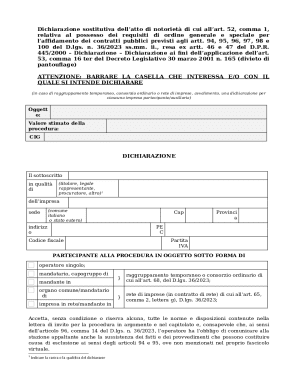 Italian Public Contracts Declaration Form