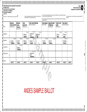 New York General Election Ballot