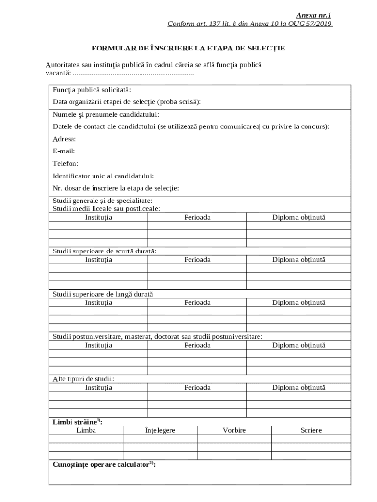 Romania Public Sector Job Application Form - Blank Fillable Template ...