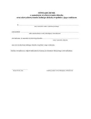 Child Support Declaration Form