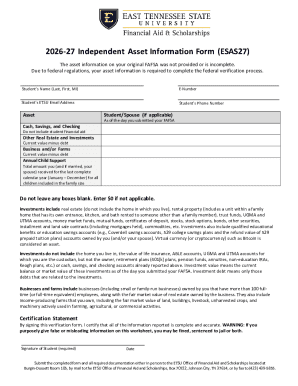 Section 27 Form.pdf 2026-27 Independent Asset Information Form - Blank Fillable Template ...