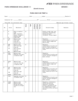 Para Dressage Challenge III Grade I Form