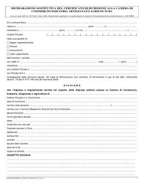 Italian Business Registration Declaration