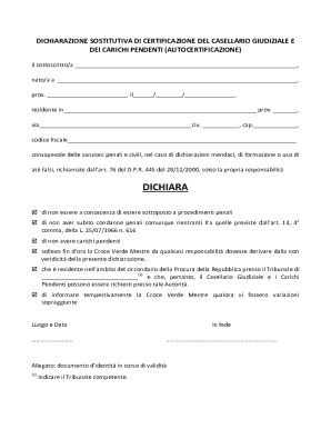 Italian Criminal Record Declaration Form
