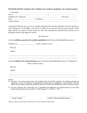 Italian Criminal Record Declaration