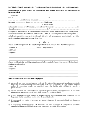Italian Criminal Record Declaration Form