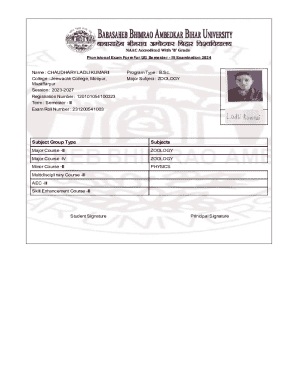 Provisional Exam Form for UG Semester III Examination 2024