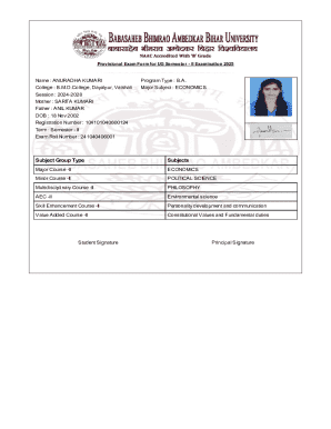 Provisional Exam Form for UG Semester II Examination 2025