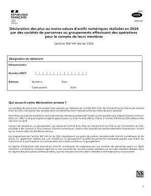 French Digital Asset Capital Gains Declaration Form 2024
