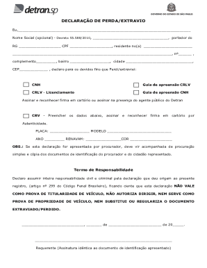 Brazil Lost Vehicle Documents Declaration