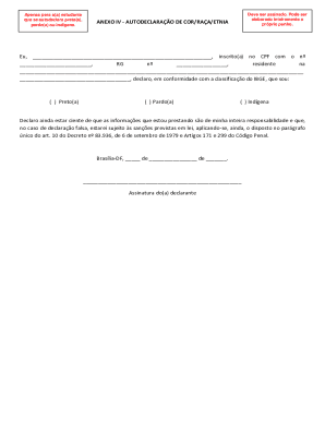 Brazil Self-Declaration of Race/Ethnicity Form