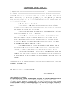 Chile Municipal Employee Affidavit Form