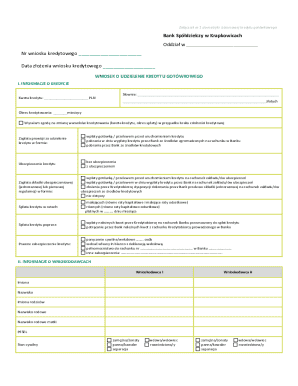 Cash Loan Credit Application Form